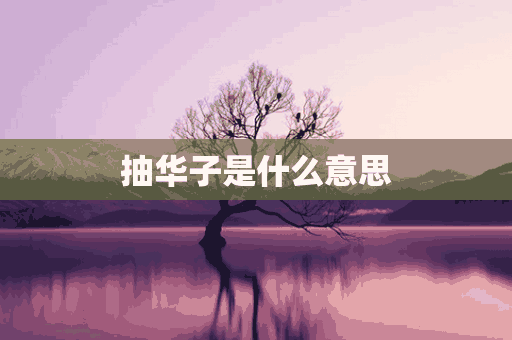 抽华子是什么意思(抽华子是什么意思抖音叫什么)